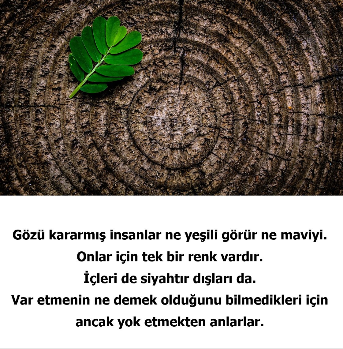 skaraismailoglu's tweet photo. Değerli arkadaşım, görüşün, inancın, duruşun ne olursa olsun organize olmuş bir kötülükle karşılaştığında yapman gereken şey çok basittir. Yalnız bırakılmış iyiliğin yanında durmak. Unutma sen bugün iyiliğin yanında durursan, o gün geldiğinde iyilik de seni yalnız bırakmaz. https://t.co/aQjCpnbvCf