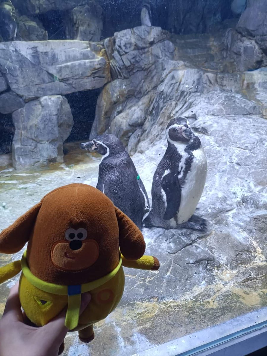 1stMatchborough's tweet photo. Just some more photos of our Squirrel's mascot @HEYDUGGEE in South Korea with our young leader for #23WSJ - enjoying the experiences in Seoul before heading to the Jamboree @unit86wsj2023 #skillsforlife https://t.co/5gvsbrqNs6