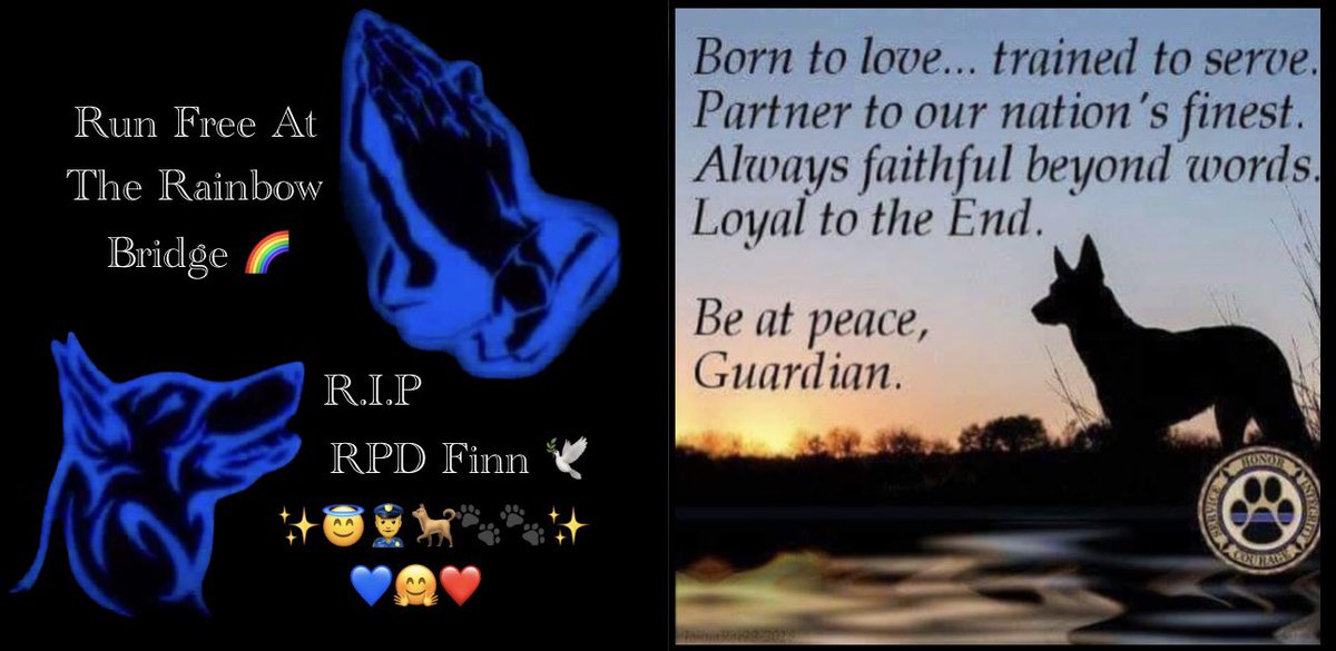 A Tribute to #RPDFinn, #FabulousFinn, @K9Finn, #FinnsLaw, #FinnsLawPart2,  #ThinBluePaw, #Hero,#germanshepherd
Thanks for your Heroic Service to this Country! You will be forever in our hearts and minds. Cherished memories will never fade! RIP RPD Finn🕊️
✨😇👮‍♂️🐕🐾🐾✨🌈🙏💙🤗❤️