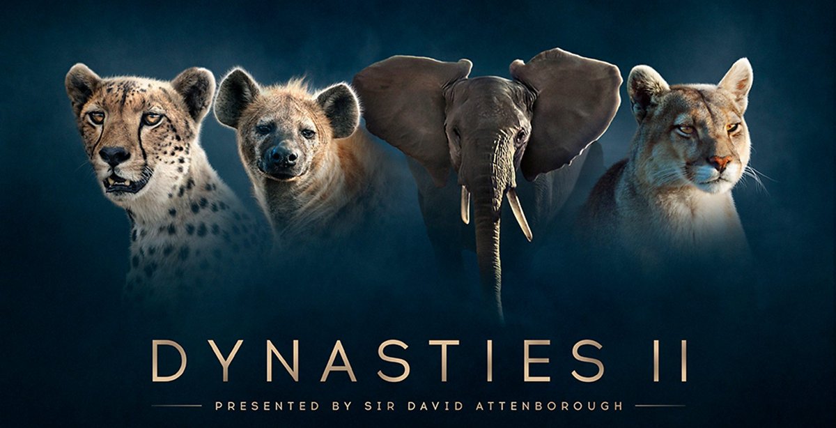 Watching Dynasties, Series 2. Another brilliant documentary series narrated by David Attenborough.
<a href="/BBC/">BBC</a> #DavidAttenborough #Dynasties