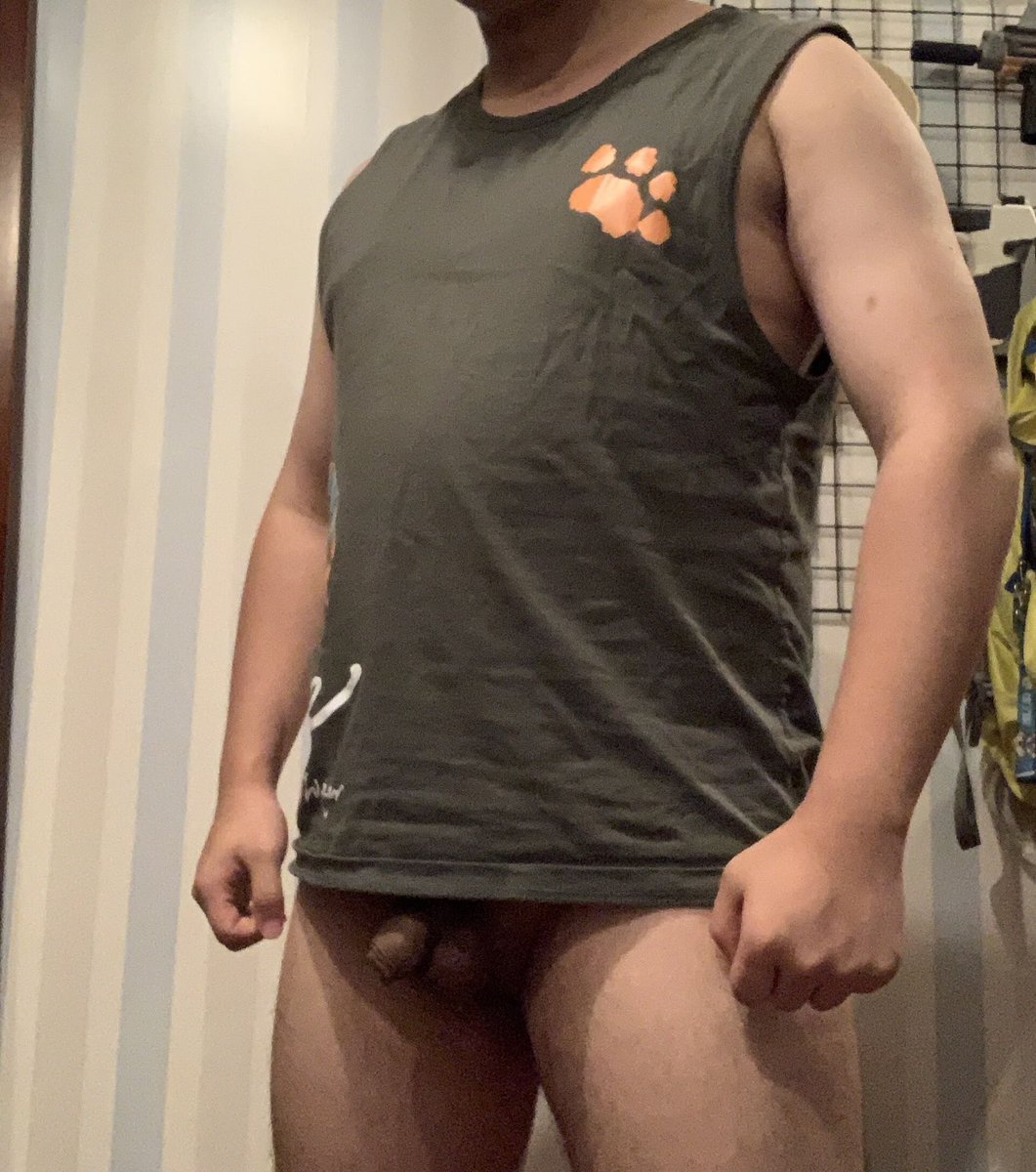 躺平小狗熊 tweet media