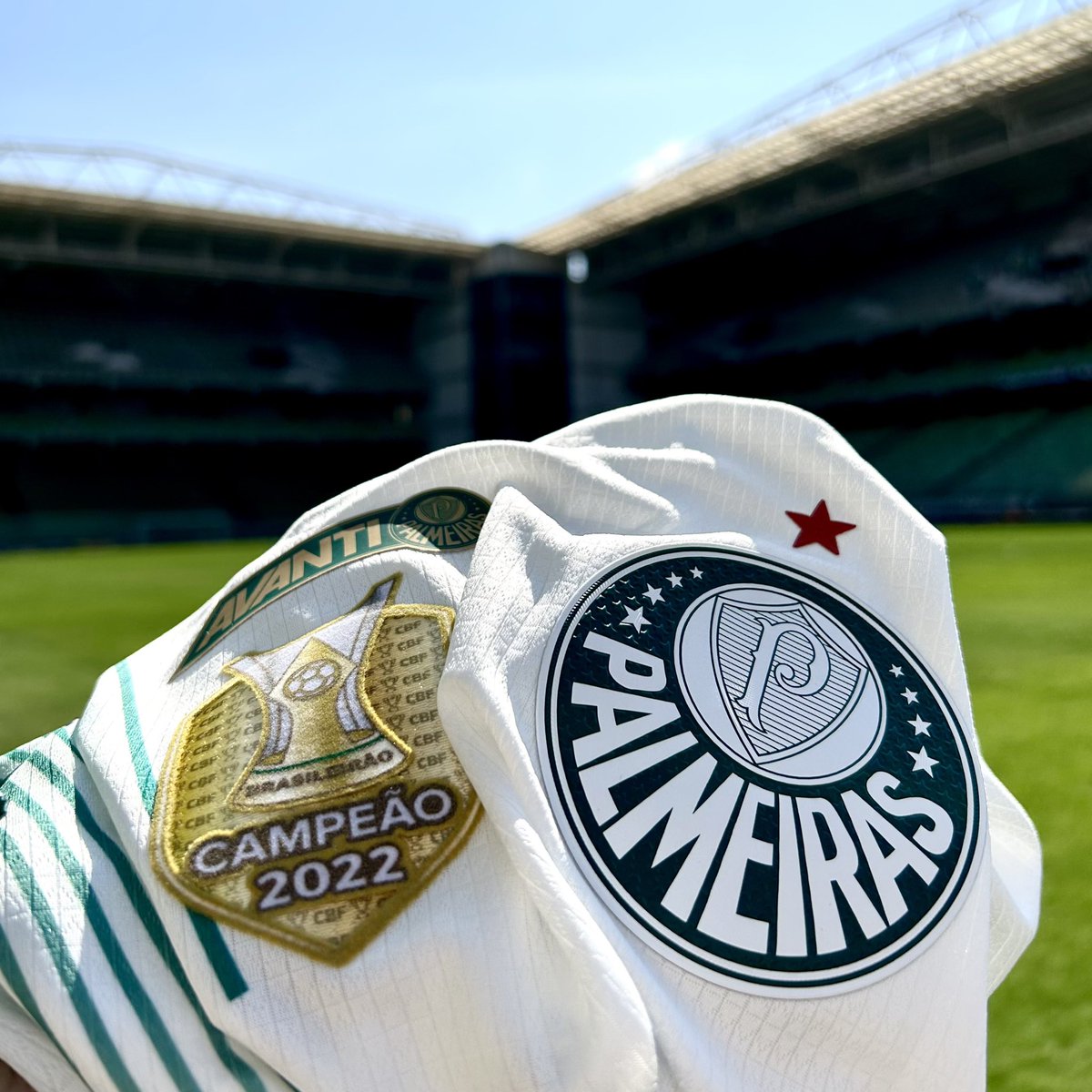 Palmeiras's tweet image. 💚🏟️

#AvantiPalestra #AFCxPAL
#JuntosNoBrasileirão