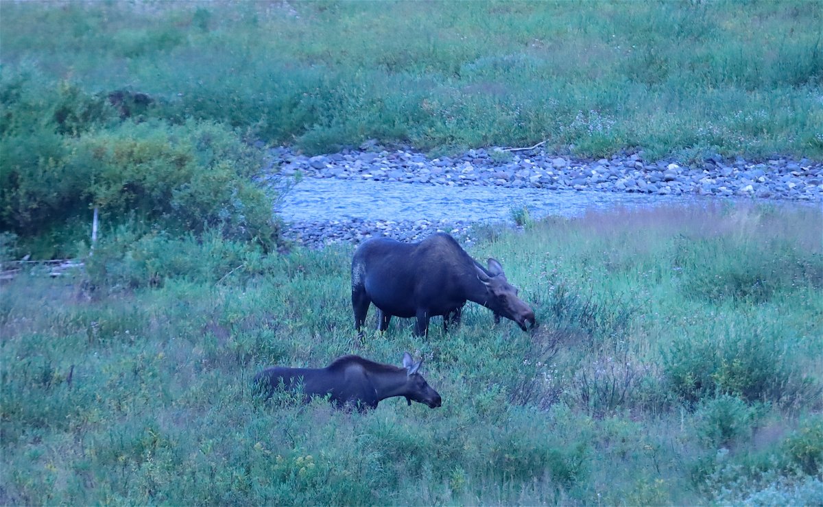AltYelloNatPark's tweet photo. Good morning from @AltYelloNatPark https://t.co/DEKyiiShC4
