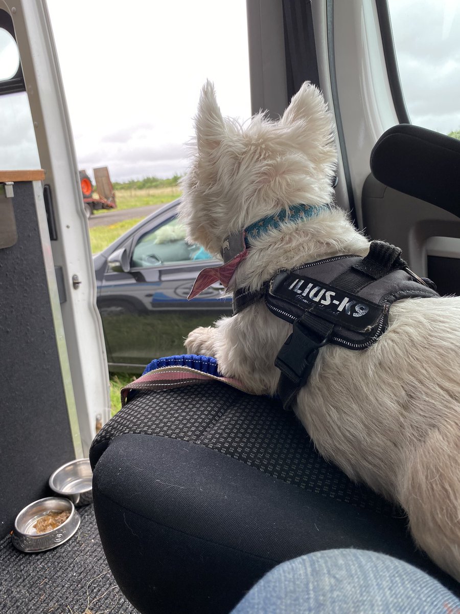 Just sitting watching the world go by