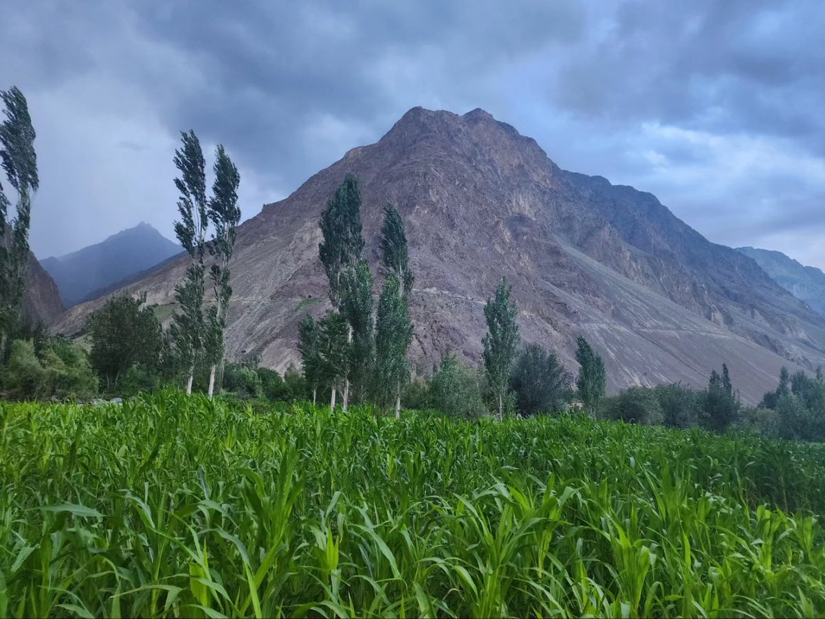 basitkhan1011's tweet photo. Tour de Ghizer
#Fortheloveofmountains
#ABClicks
#ghizer https://t.co/MHdTRgujSL