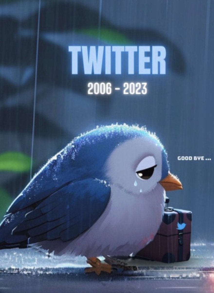 kelly Mackay tweet media