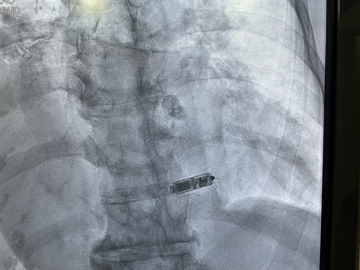 Karthigesan A M tweet media