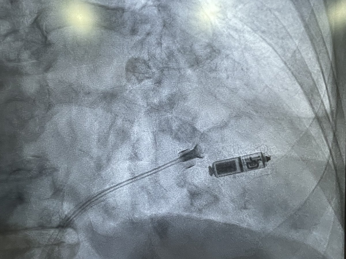 Karthigesan A M tweet media