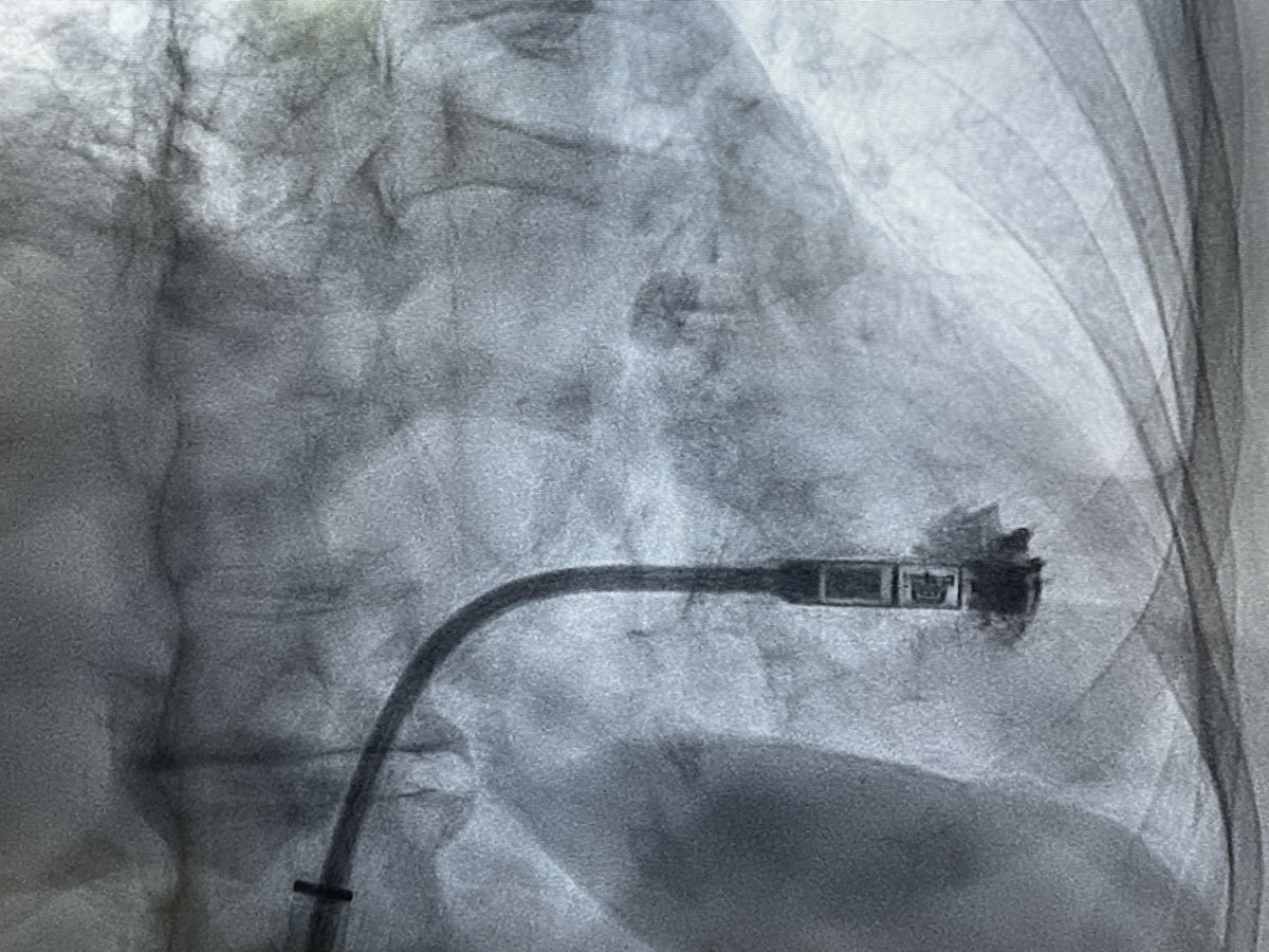 Karthigesan A M tweet media