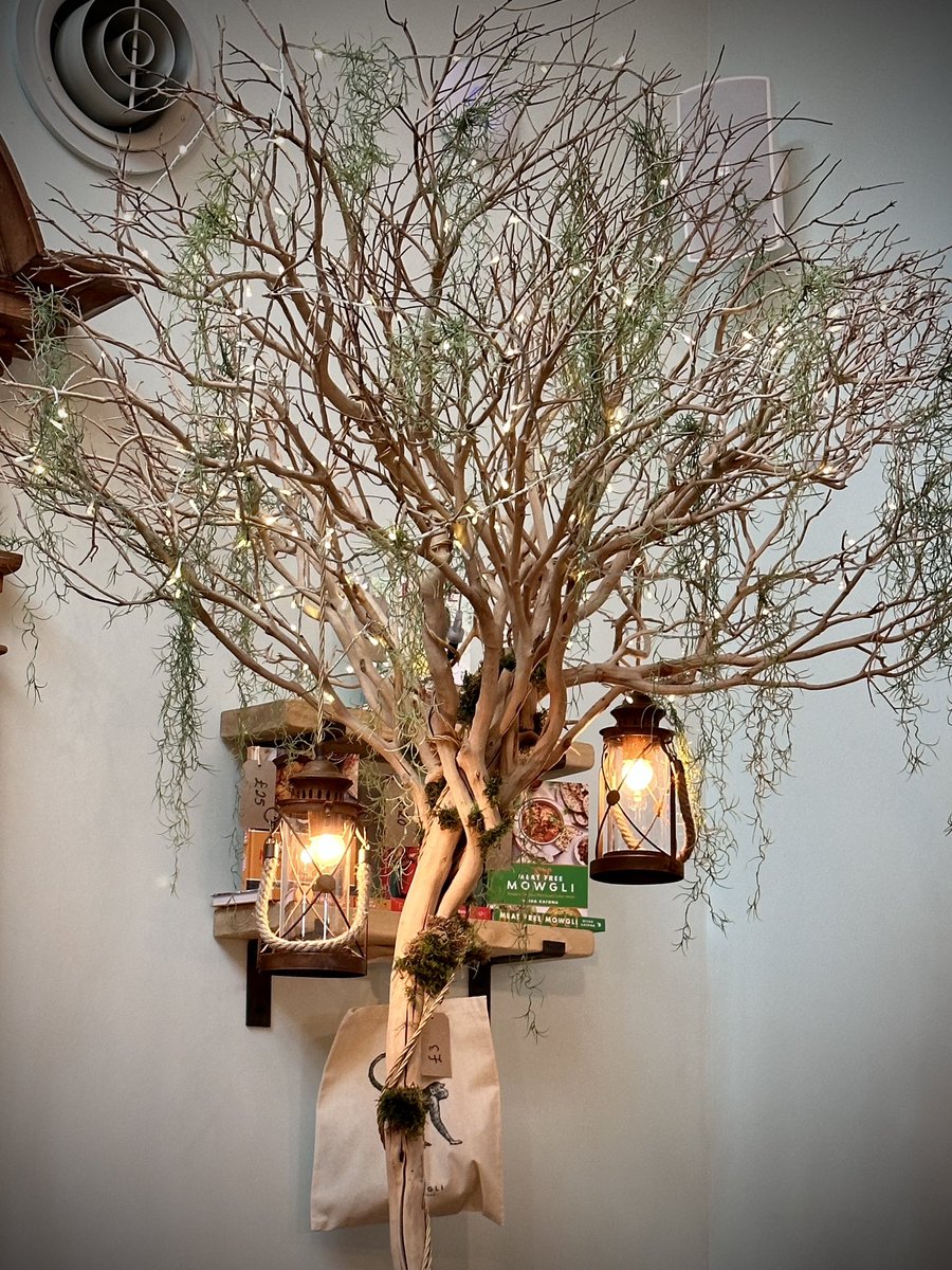 Barry Fox tweet media