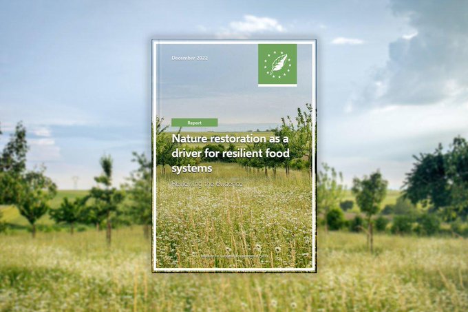 IEEP_eu's tweet photo. #NatureRestoration  plays a vital role in enhancing the resilience of food  systems over time. 

Merely considering the extent of land utilised for  production is an inadequate means of assessing the long-term capacity  for production.

Our report 👇
https://t.co/GaY7QWW2yJ https://t.co/BfrnuImNUA