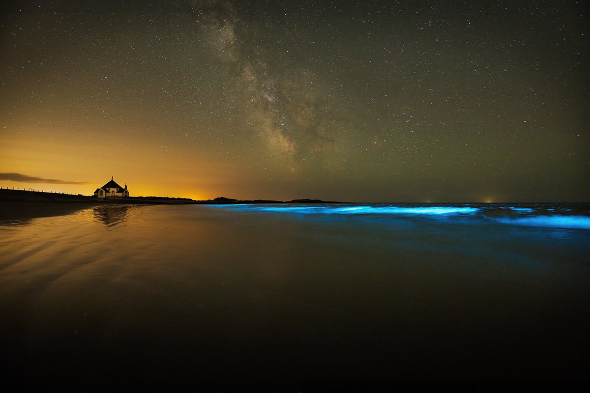 🇫🇷 Un phénomène féerique a été photographié par Richard Jeune sur une plage du Morbihan. Ces vagues d’un bleu électrique s’expliquent par la présence de phytoplanctons bioluminescents ! 💙 (Le Télégramme)