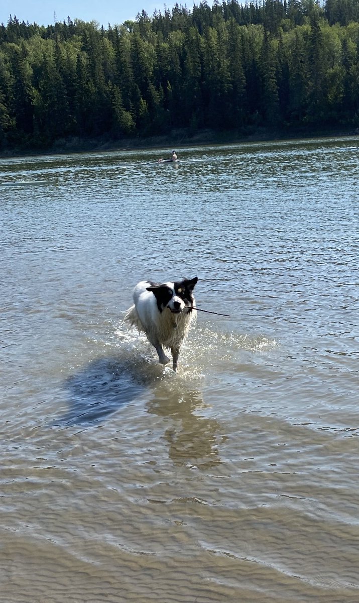 BaxterForTheWin's tweet photo. Another trip to the park today. This week is supposed to be much nicer than last, so hopefully we can finish holidays off strong! https://t.co/PJqYqeGUYA