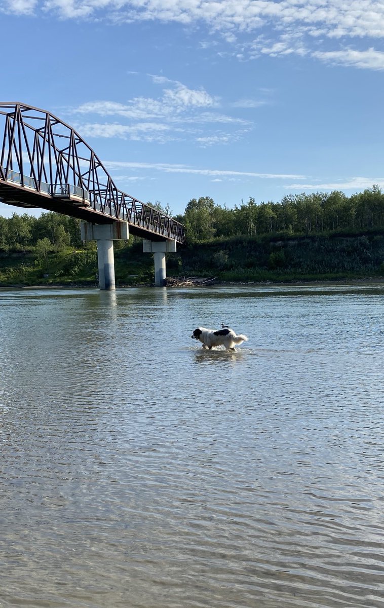 BaxterForTheWin's tweet photo. Another trip to the park today. This week is supposed to be much nicer than last, so hopefully we can finish holidays off strong! https://t.co/PJqYqeGUYA