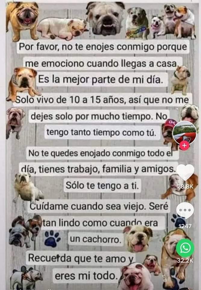 Amarlos, comprenderlos, no los abandones, ellos harían siempre lo mejor por ti