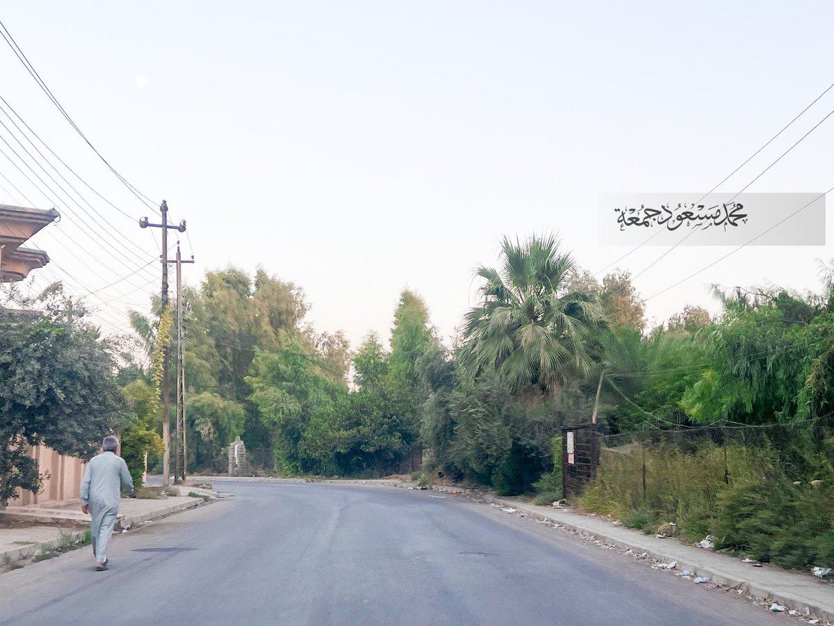 mohammedmasoodj's tweet photo. تفاجأت يوم امس بأحد الافرع في #حي_سومر من كثافة الاشجار المزروعة والإهتمام بها من قبل الاهالي 🇮🇶🌳🌿✅ https://t.co/CRfHQWubwV