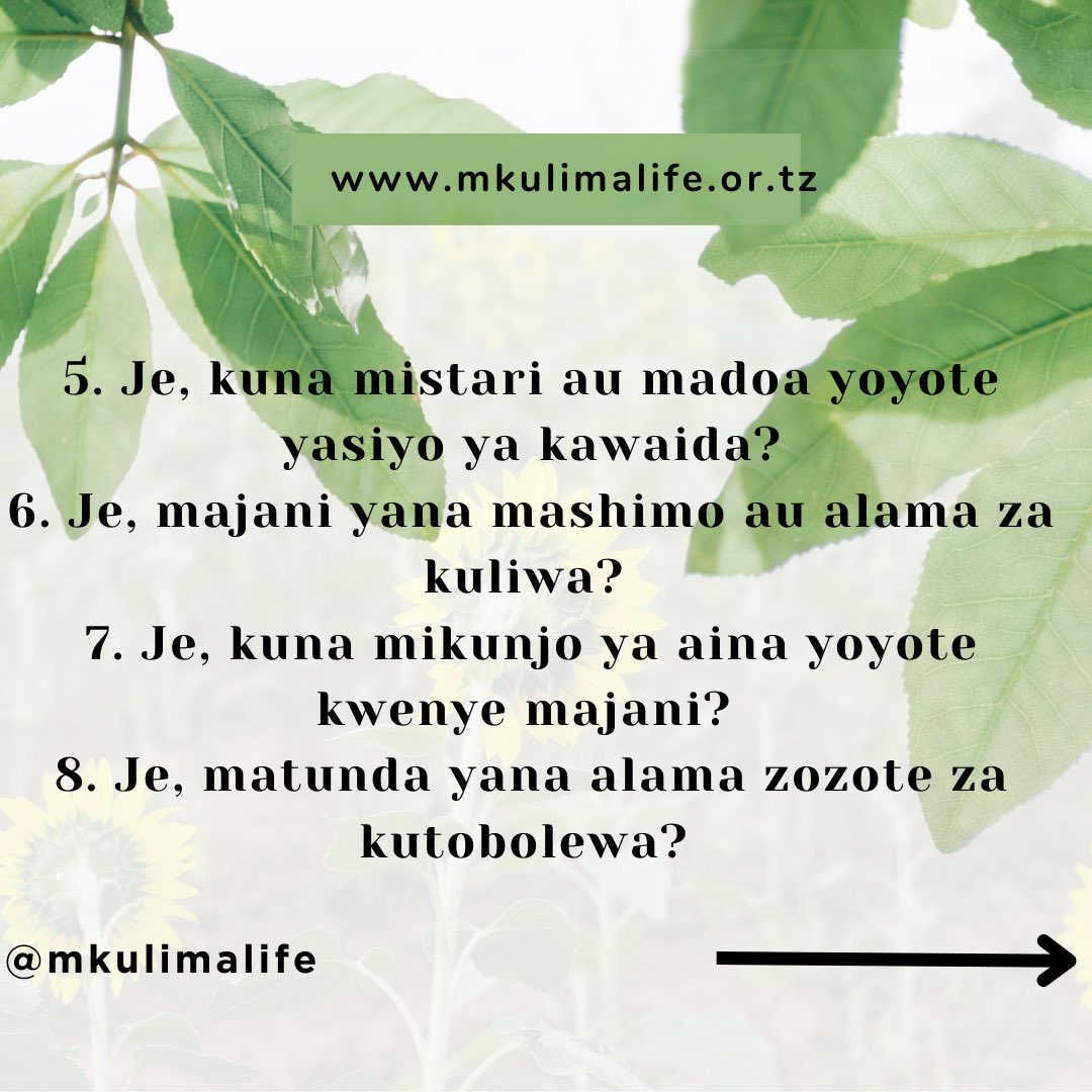 MkulimaLife's tweet photo. #limakwafaida #mkulima #growyourownfood #farm #agriculture https://t.co/At5rhSSdhL