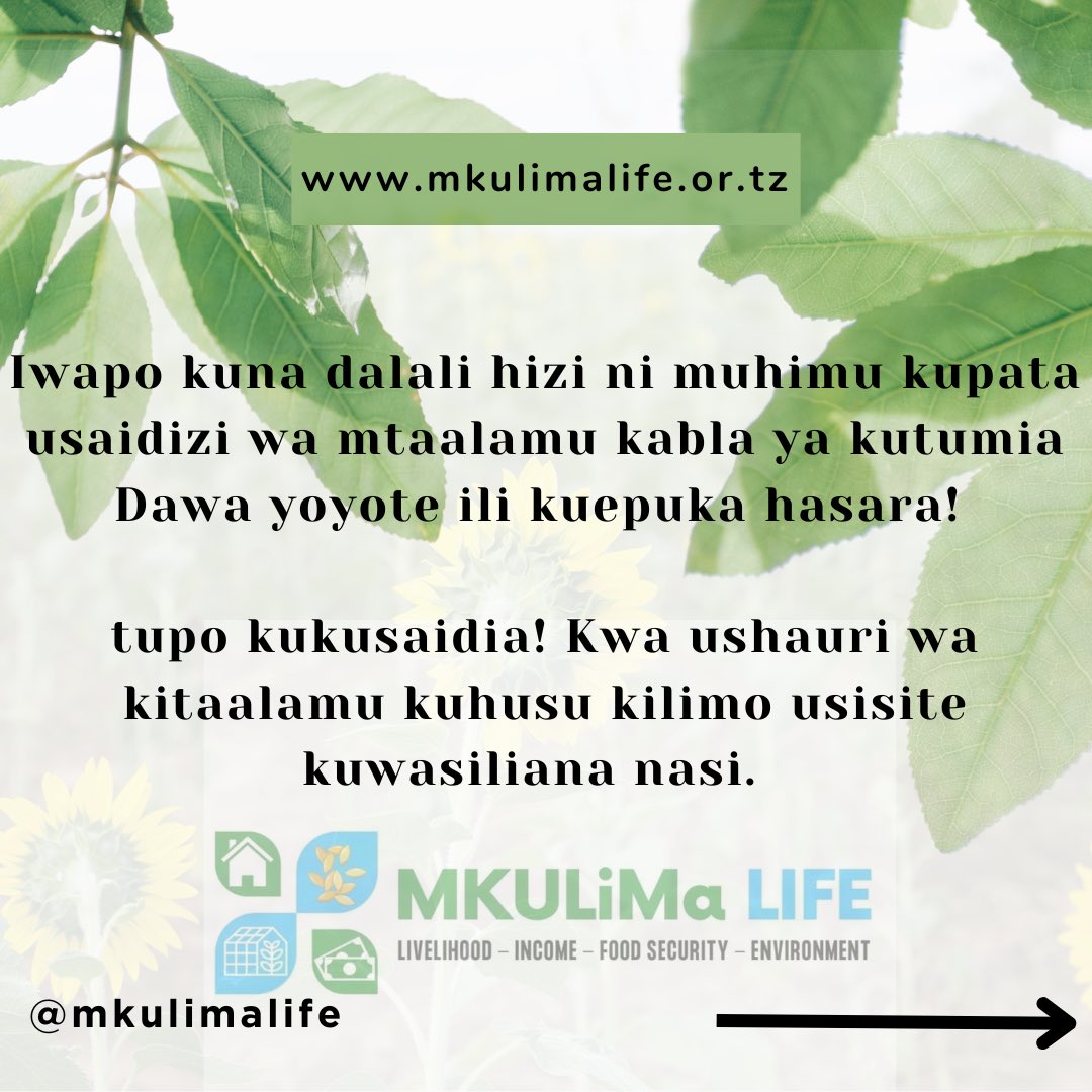 MkulimaLife's tweet photo. #grow #limakwafaida https://t.co/cYm4q7D7fM