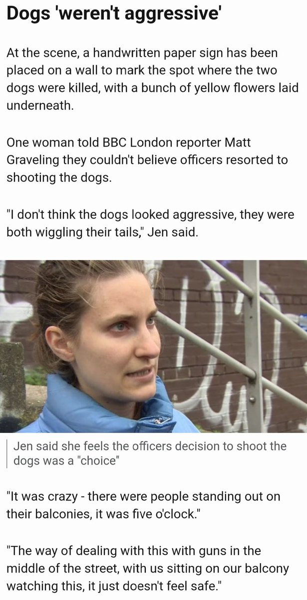 en_sota's tweet photo. @metpoliceuk #ThinkBeforeYouShoot
Ur 7 savage officers brutally MURDERED 2 calm friendly INNOCENT dogs 4 NO reason, while people were watching from balconies &amp; screaming 4 them to⛔.
THAT WAS an emergency, but u didnt seem 2 care.
#sackthem

💙#JusticeForMarshallandMillions💙

@policeconduct https://t.co/nnMBFWmm2X