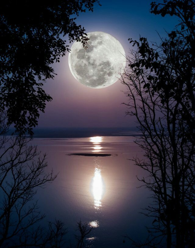 iRranjan's tweet photo. Today may have been hard. But tomorrow is a new day that you can conquer.

#GoodNight🌃 https://t.co/aySgszkpgJ