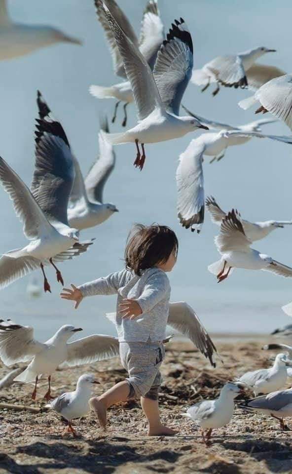 ys_1n's tweet photo. أريد أن أغني مثل العصفور
 لا يهمني من يسمع 
ولا يعنيني ماذا يظنون
🕊♥💢 https://t.co/CqJhPdiG3r