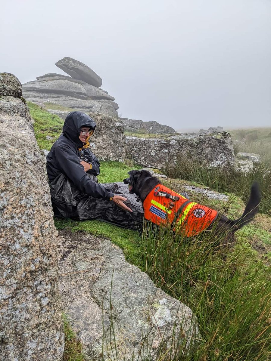 Mountain Rescue Search Dogs England tweet media