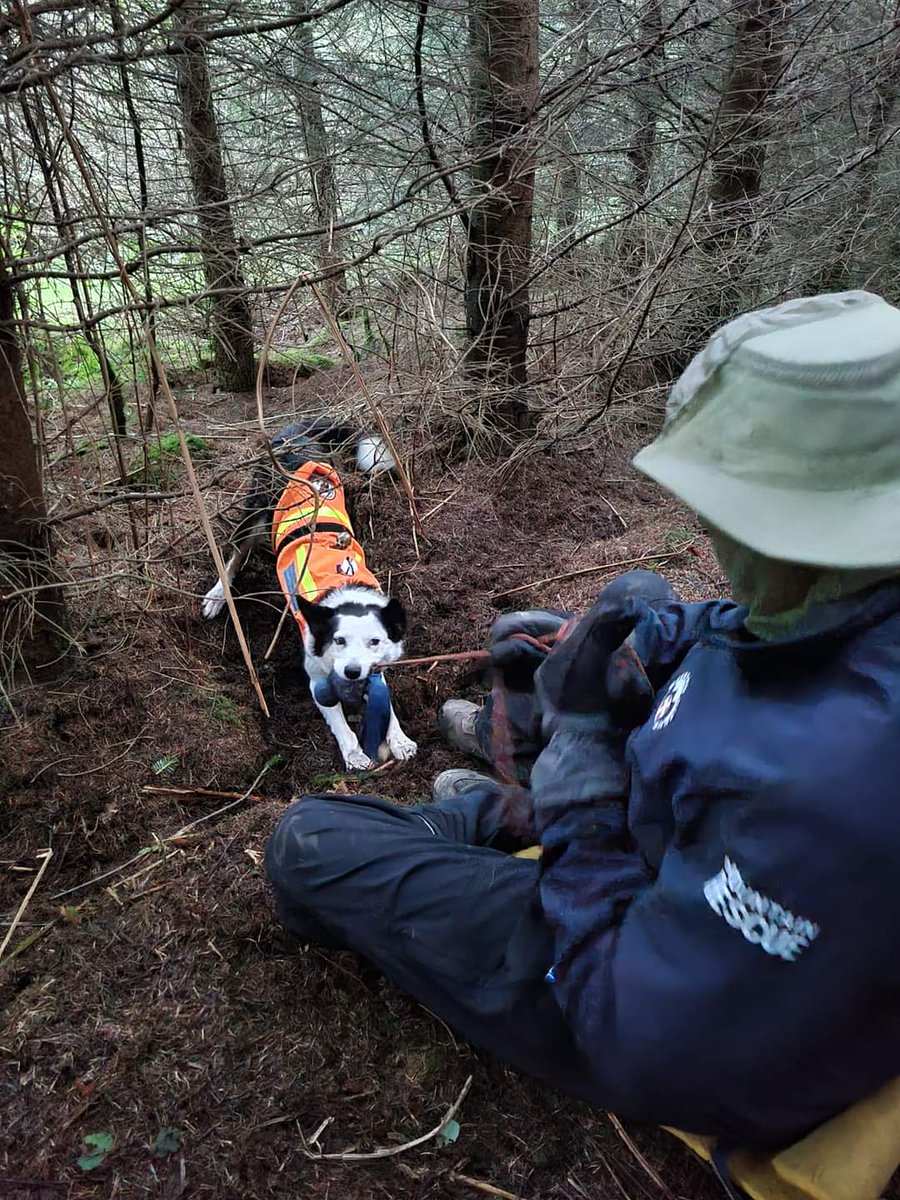 Mountain Rescue Search Dogs England tweet media