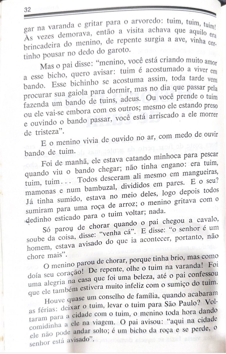 José Fernando Simão tweet media