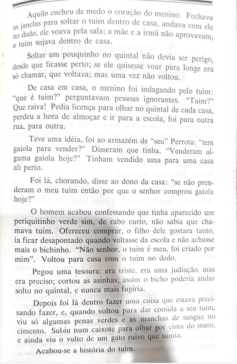 José Fernando Simão tweet media