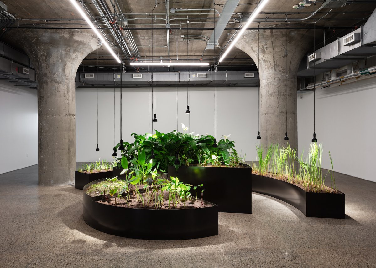 Congratulations to <a href="/MOCAtoronto/">MOCA Toronto</a> for their run of Kapwani Kiwanga: Remediation.

The exhibition, which is co-organized by Remai Modern and MOCA Toronto, opens in Saskatoon on October 6.

Learn more:
remaimodern.org/whats-on/exhib…