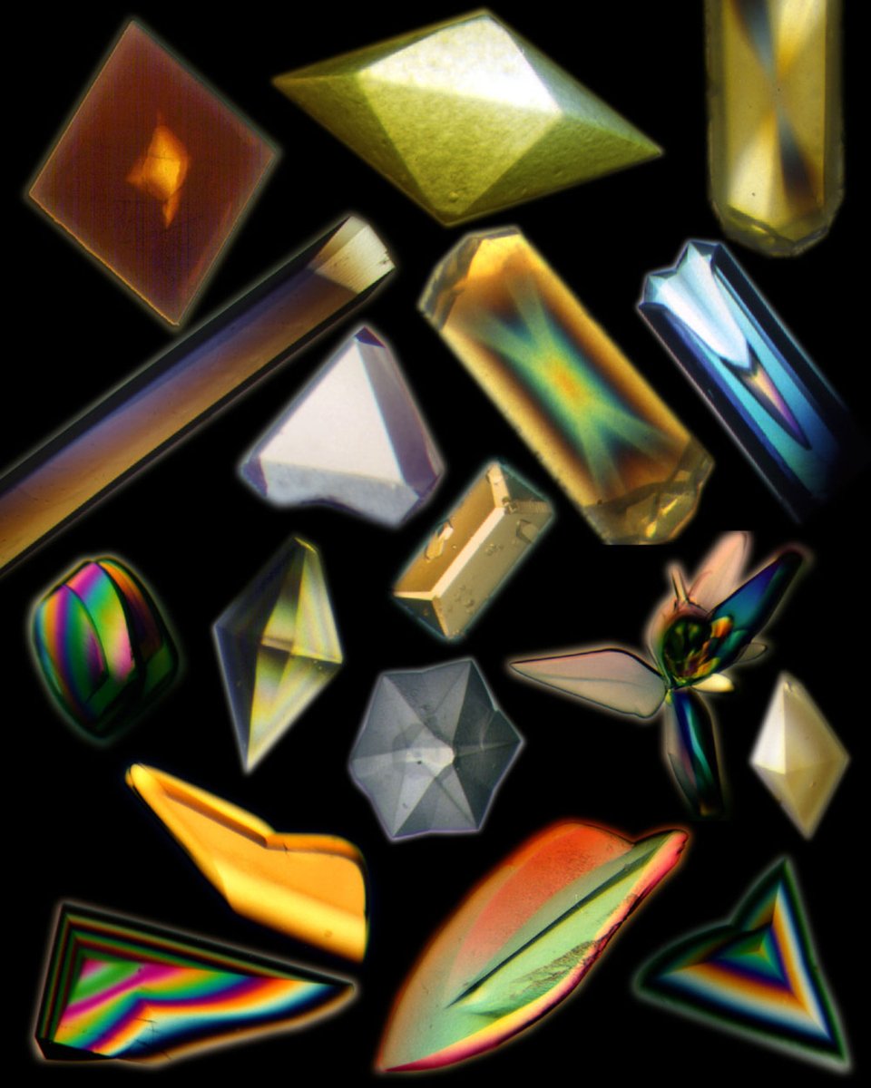 ravenscimaven's tweet photo. Last episode on @nerdyjobsshow we explored protein crystallization! We did it on a lab here on Earth, but did you know that proteins can be crystallized in space, too? That’s where these crystals came from! Check it out!
https://t.co/F08todk1yk https://t.co/hFoEaUUimY