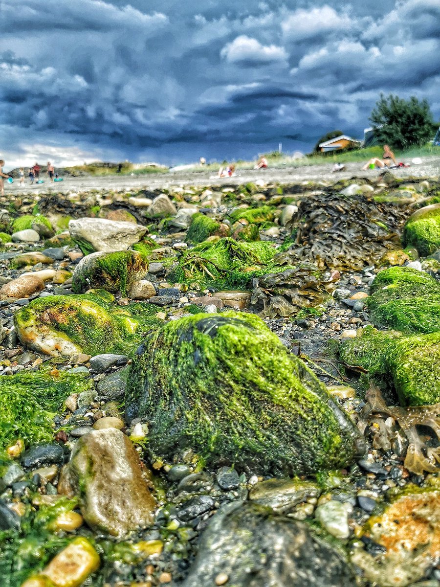 Blir forfulgt av tordenværet..