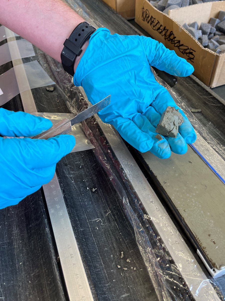 US_SciOD's tweet photo. We’ve got samples! The #EXP398 sampling party is officially over. These sacks are full of thousands of pieces of rock and sediment that scientists will ship back to their labs to start uncovering the secrets of Santorini, Christiana, and Kolumbo volcanoes.

📷 Susan Schnur &amp; IODP https://t.co/LPj3kGFFu7