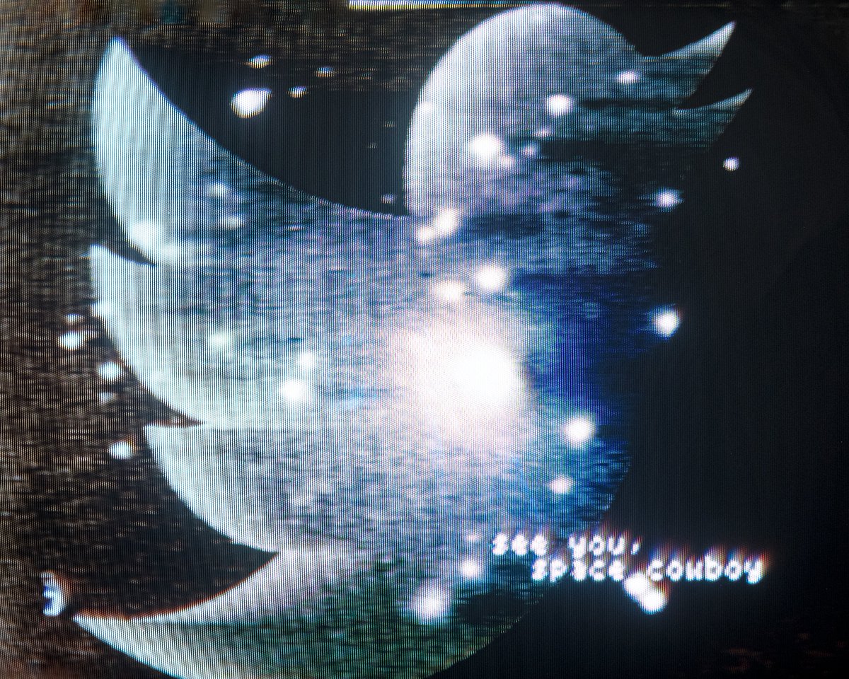caraesten tweet picture