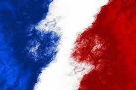 BerMar49001's tweet photo. Les Nigeriens, au Niger, brûlent le drapeau français et souhaitent que les français s'en aillent.
C'est leur droit. On se doit de le respecter.
Par contre, je propose que nous brûlions les drapeaux Nigérien, Algérien, et que nous les renvoyons chez eux. https://t.co/mxH8RWER8W