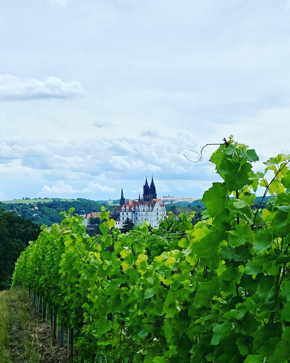 SeFischer_MEI's tweet photo. Immer wieder wunderschön: Schloß #Proschwitz bei #Meißen!
#Wein #Sachsen https://t.co/6ftFrRmOPU