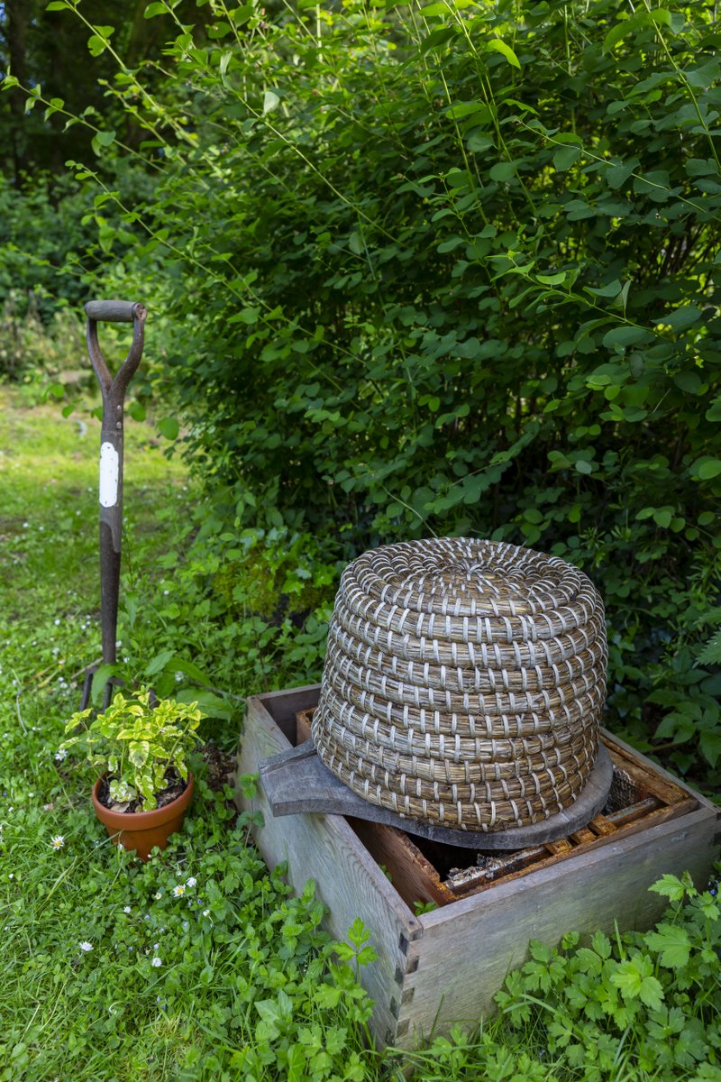 You'll find this little item at the bottom of the garden at Hardy’s Cottage, Dorset.

Can you tell us what it is?