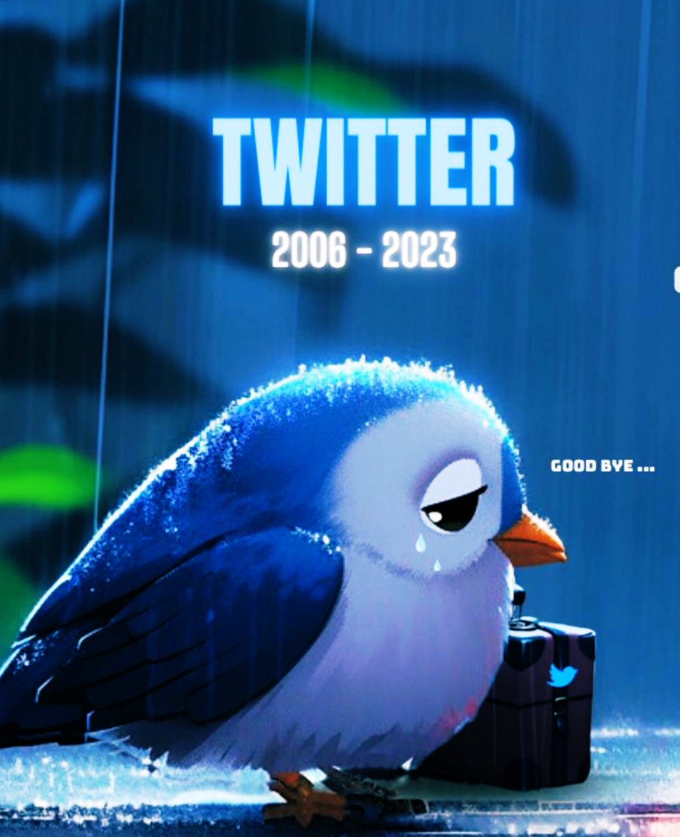 joserra_espn's tweet image. La imagen de hoy…