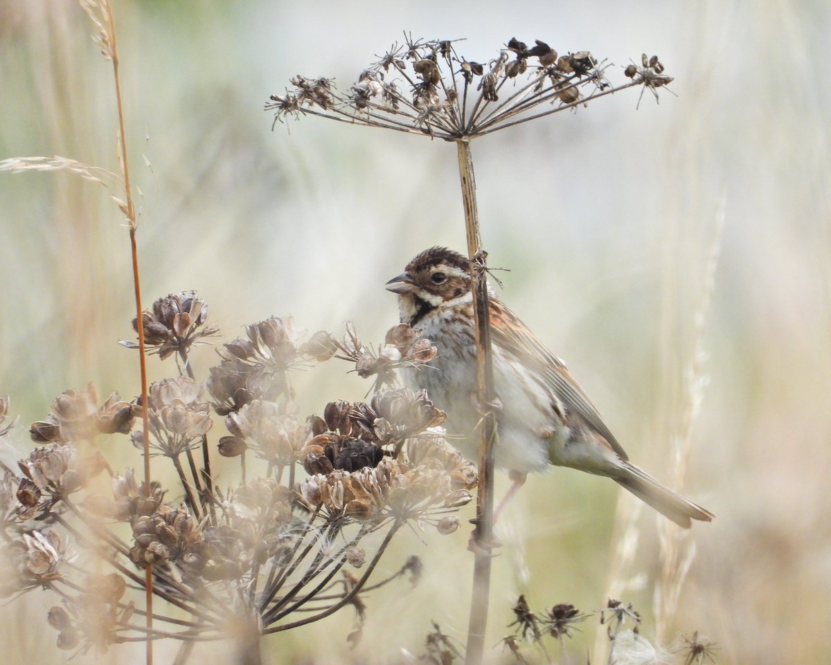 Miles Richardson tweet media