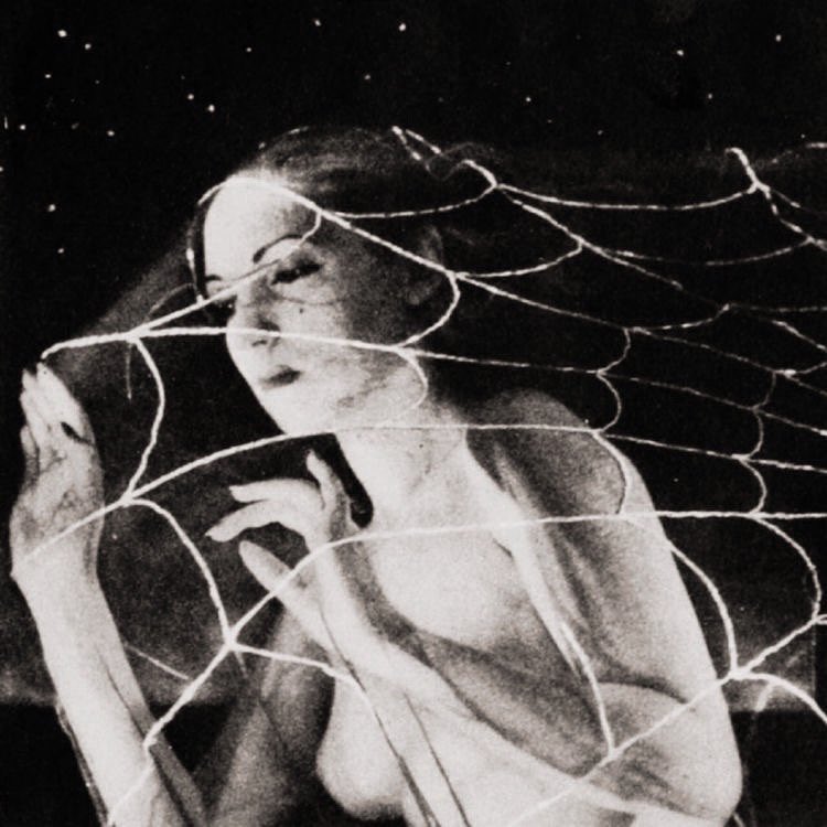 sorry, i’m not home right now
i’m walking into spider webs
just leave a message
and i’ll call you back