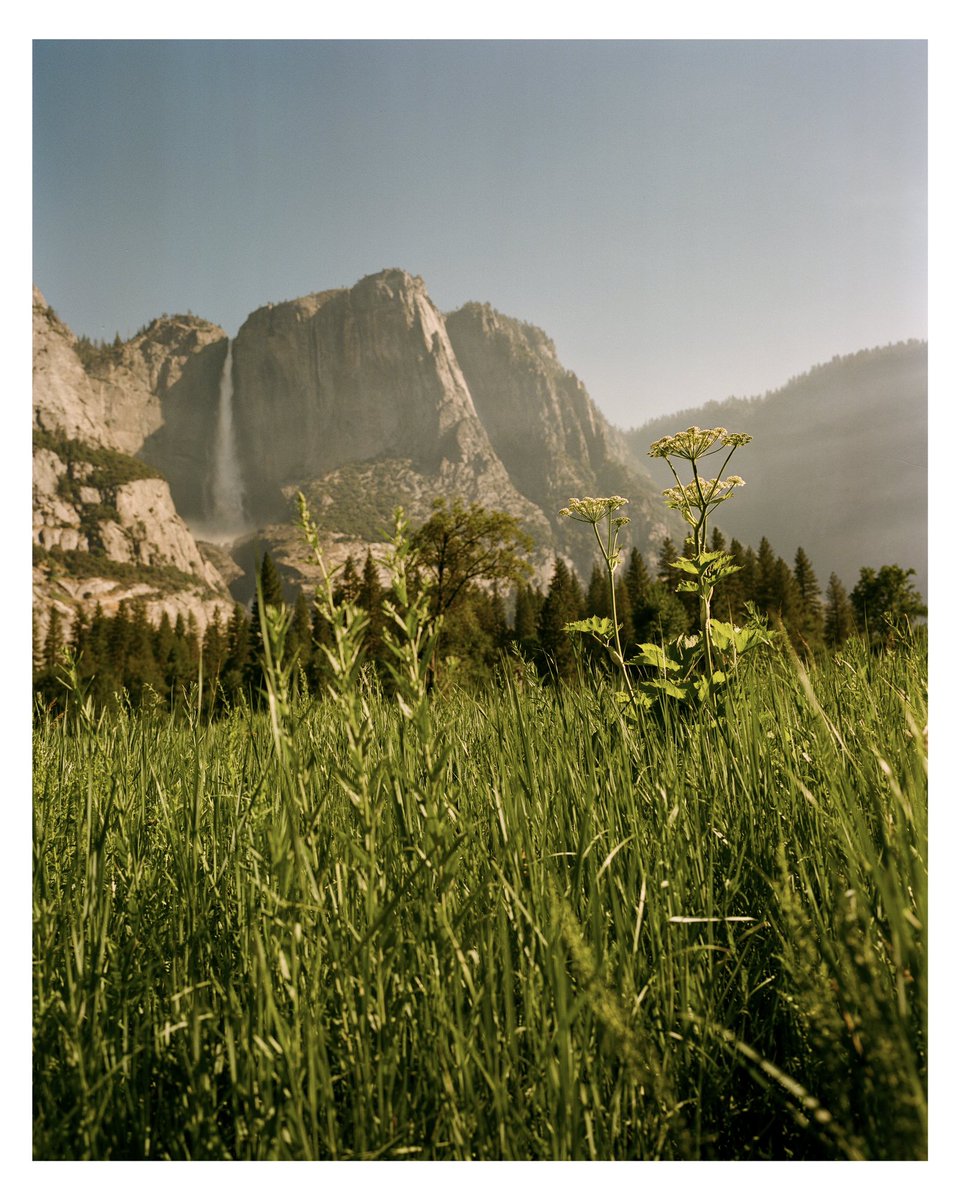 jacobetovar's tweet photo. summer in yosemite - shot with mamiya 7 on 120 film https://t.co/LV419hDRUg