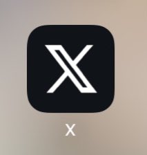 L0VCat's tweet photo. well, my app finally did it. it looks so stupid. bye twitter🫡 and f you @elonmusk https://t.co/nRBlurxdEW