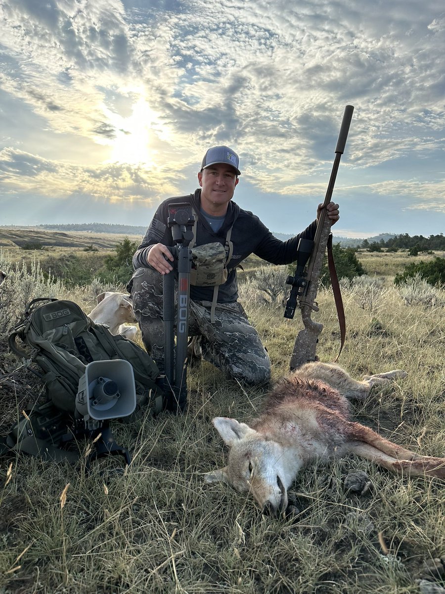 DogginwithLevi's tweet photo. Sunday Funday @sigsauerhunting #decoying #coyotes #neversettle https://t.co/EzCX36aFMQ
