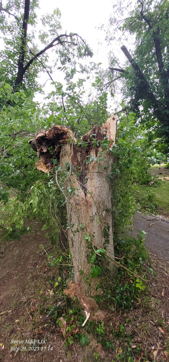 TrinityKal's tweet photo. @pulte I really need the help I had a tree fall and my power is out and cable and I work from home. Not to mention the insulin that is going bad because of it, and expected to be out until Aug 1. $Butterflies20231 is cashapp. https://t.co/US1Ct1ZE00