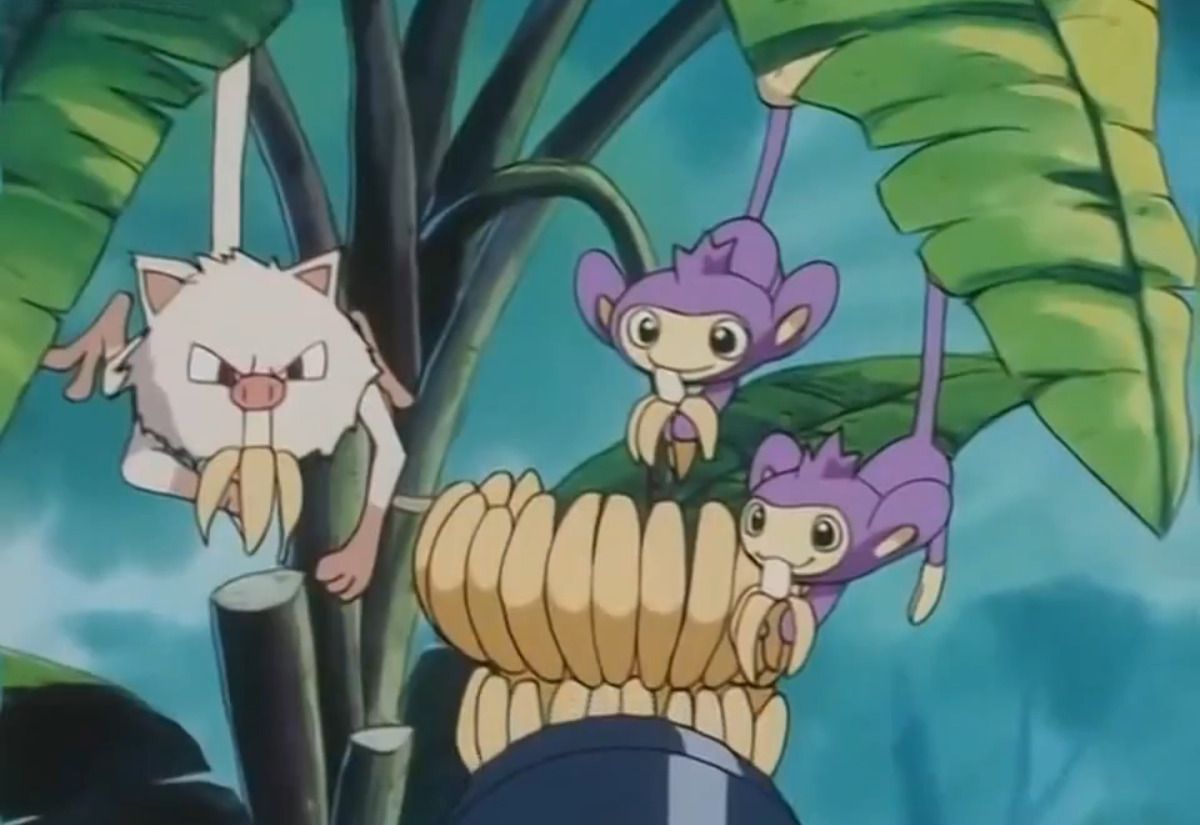 OoCPokemon's tweet photo. 🍌 https://t.co/vy9IQsllls
