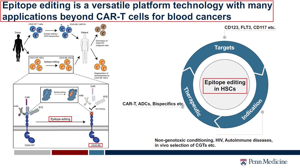 yaireinhorn's tweet photo. @wellhausrn @PennMedicine @Penn 12/By using #CRISPR #BaseEditing technology - #EpitopeEditing creates a #cancer-specific antigen in all residual host hematopoietic cells thus proving its potential as a versatile therapeutic #technology with future applications even beyond CAR-T #cells for blood #cancers. https://t.co/GHpGD0D8rr