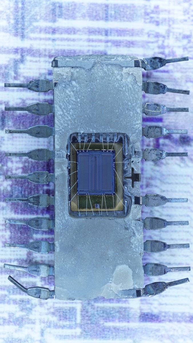duke_cpu's tweet photo. Not a flower but the symbol of United States bicentennial (American Revolution 200 years in 1976). I added a macroshot with the respective zoom in. #intersil (now #Renesas) https://t.co/vDI6KlAHWf