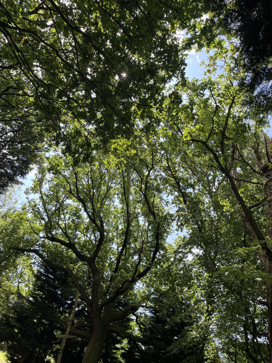 chloe34_smith's tweet photo. Tranquil 💚 #camping2023 https://t.co/HjyUbo3EYF