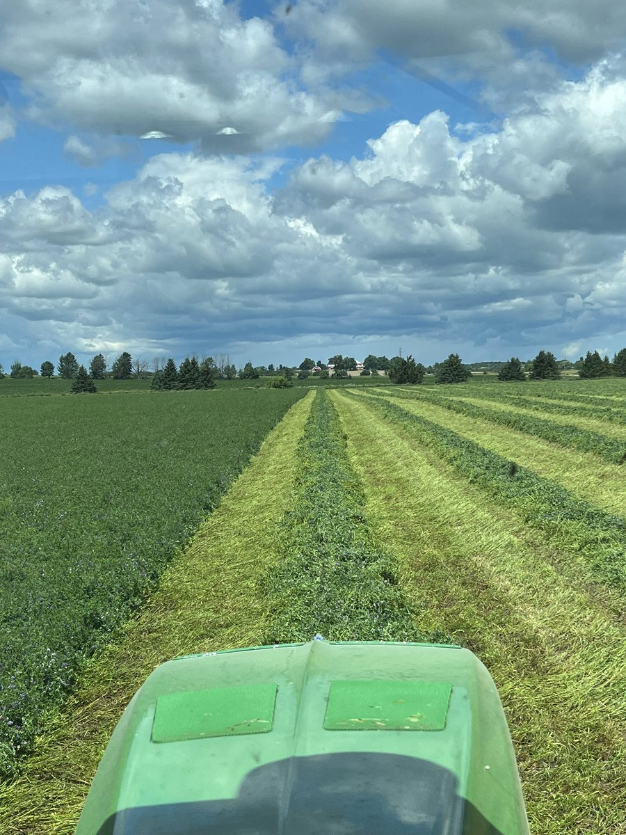 Kevin Bryan ❎ tweet media