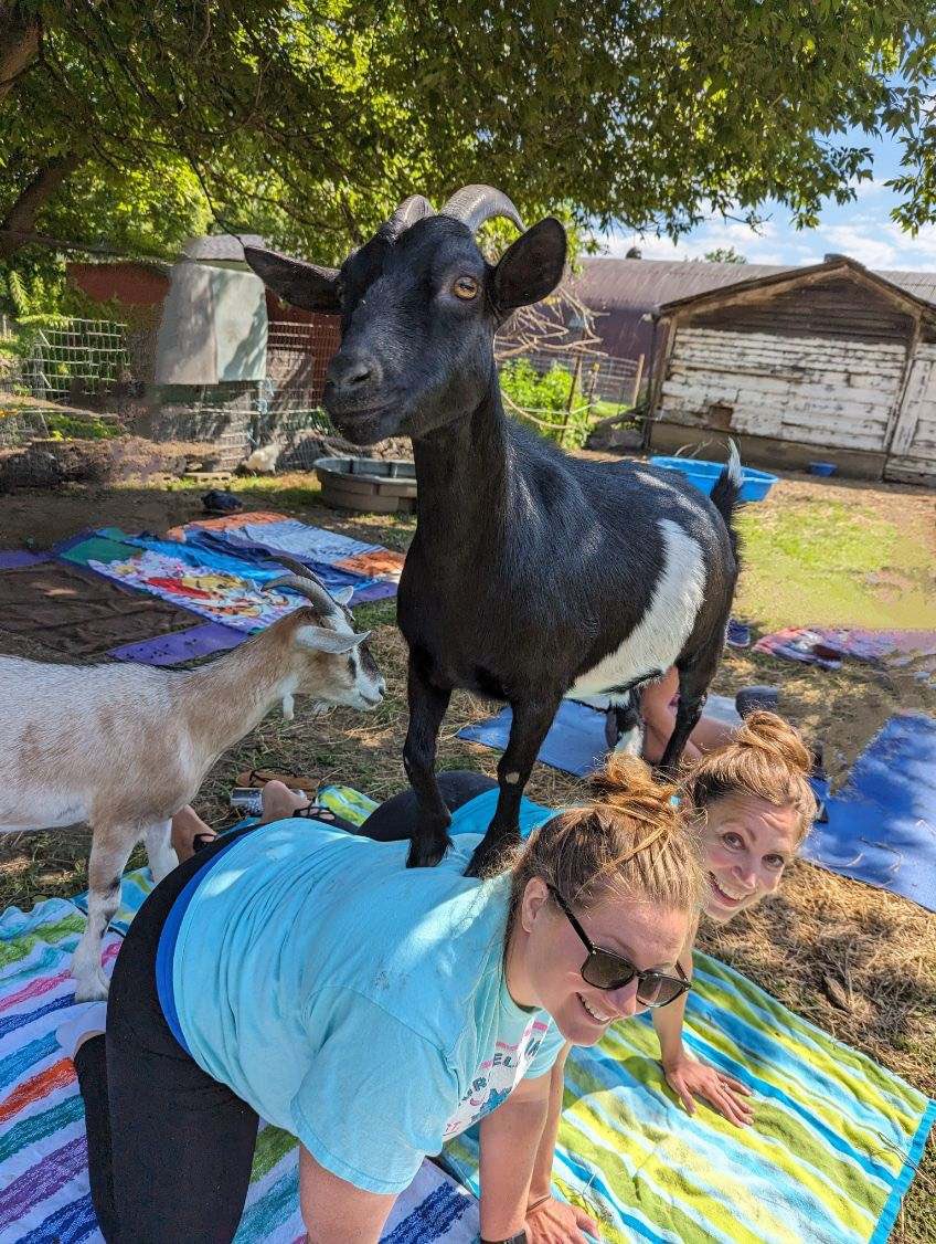 Tressa Collini tweet media